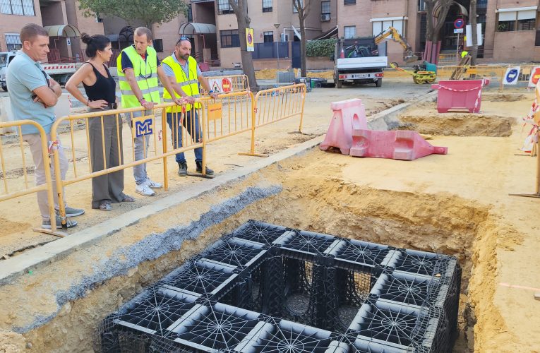 El Ayuntamiento instala por primera vez celdas estructurales para favorecer el crecimiento del arbolado urbano en la Plaza de la Fuensanta