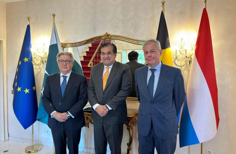 El alcalde Sanz se reúne con el embajador de Pakistán en Bruselas para trasladarle, en defensa del arte sacro, su preocupación por las amenazas al sector