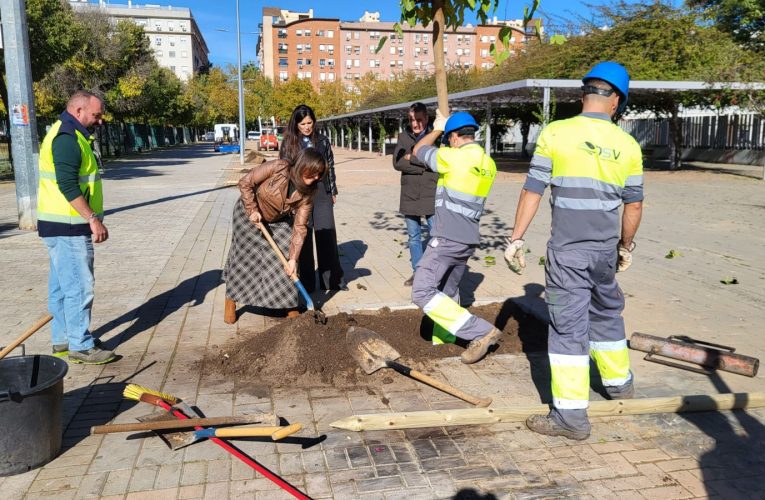 El Ayuntamiento impulsa la mayor campaña de plantaciones de los últimos años con más de 6500 árboles en toda la ciudad — Actualidad