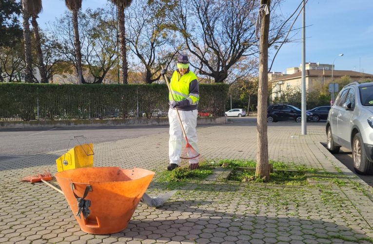 El Ayuntamiento activa un plan especial de desbroce, retirada de naranjas y refuerzo de la recogida selectiva con 121 nuevas contrataciones