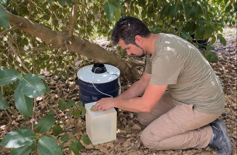 El Gobierno municipal consolida el control del Virus del Nilo tras confirmar la ausencia de resultados positivos en toda la ciudad — Actualidad