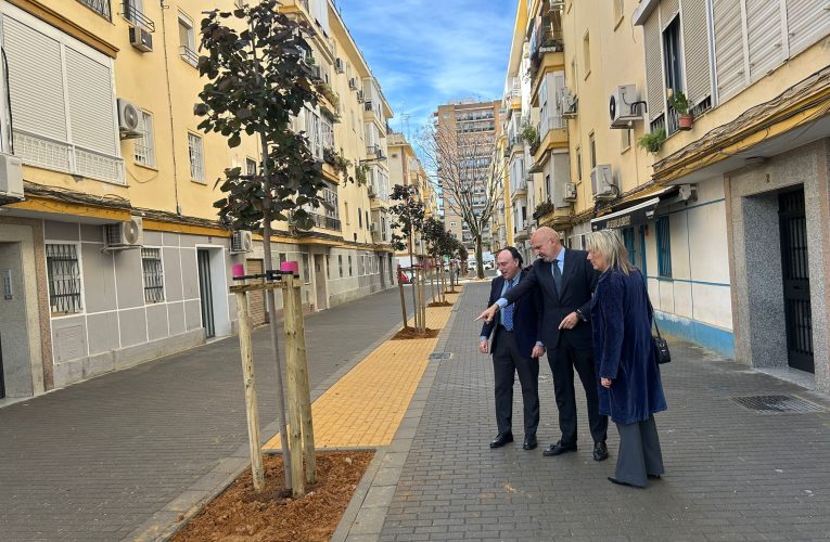 El Gobierno de Sanz finaliza la reurbanización de Virgen de Todos los Santos, en Los Remedios, que cuenta ya con una decena de árboles nuevos