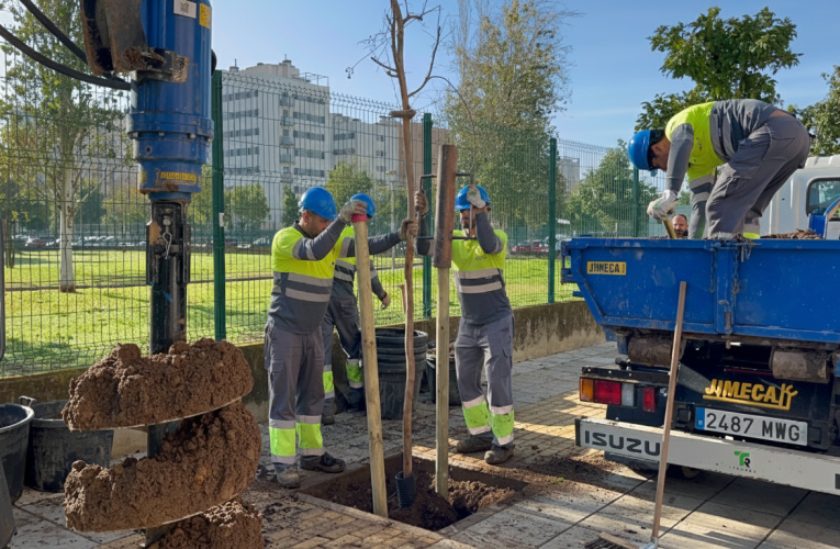 El Ayuntamiento refuerza el arbolado del distrito Este-Alcosa-Torreblanca con 767 nuevas plantaciones en calles, plazas y parques — Actualidad