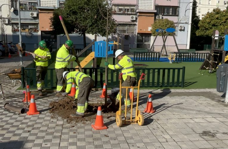 El Ayuntamiento impulsa más de 300 nuevas plantaciones en Cerro-Amate con actuaciones destacadas en Hacienda de San Antonio y en la calle Salvador Távora