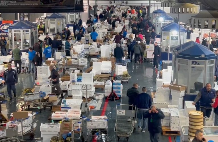 Mercasevilla activa nuevas inversiones por 1,3 millones para reforzar la Unidad Alimentaria — Actualidad