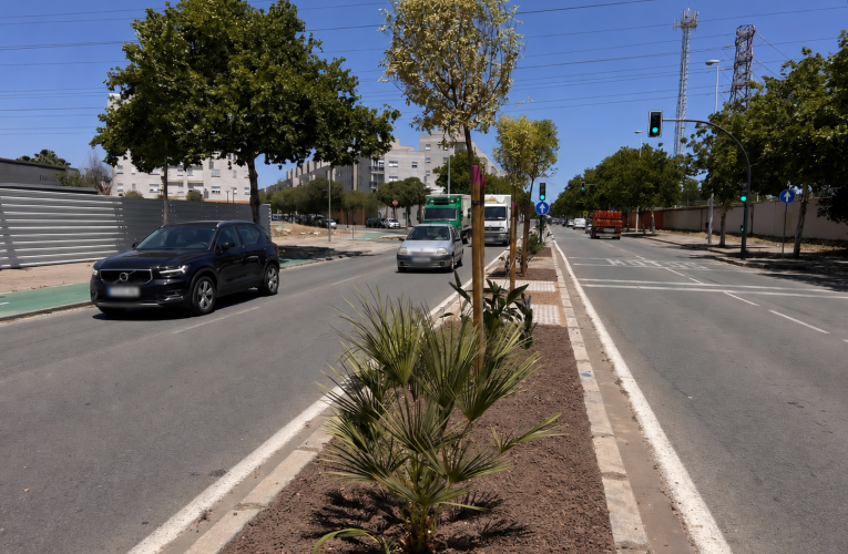 El Gobierno de Sanz culmina la renovación paisajística de la mediana de la avenida de San Jerónimo con una inversión superior a 170 000 euros
