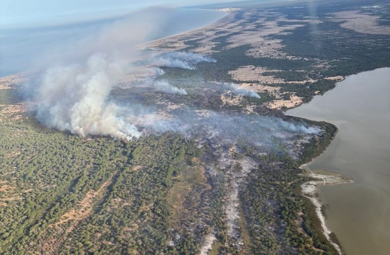 Doñana y El Rocío