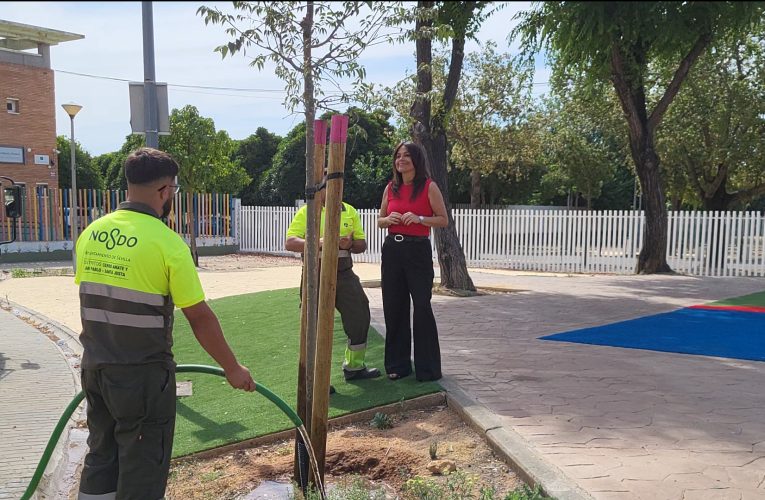 El Ayuntamiento realiza riegos de consolidación en más de 6.200 árboles de nueva plantación para favorecer su arraigo — Actualidad