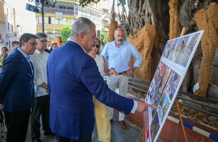 El Gobierno de Sanz incorporará cerca de 60 nuevos árboles y arbustos en Imagen y José Laguillo para transformar este eje del Casco Antiguo con la puesta en marcha integral de la línea TB1