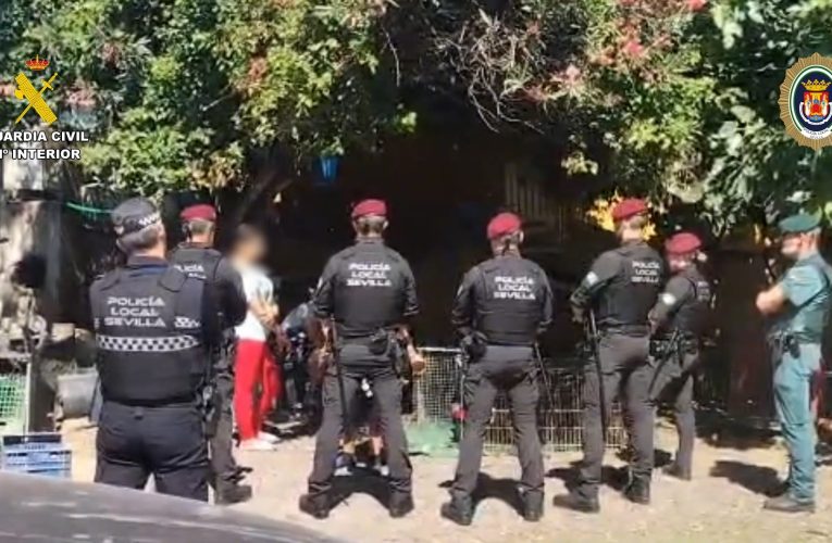Policía Local y Guardia Civil desmantelan conjuntamente dos criaderos ilegales de “gallos de pelea” en Sevilla — Actualidad