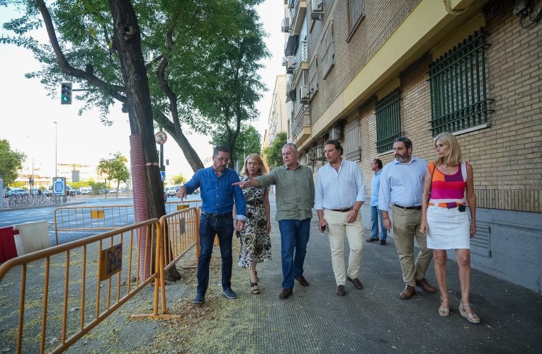 El Gobierno de Sanz recupera una veintena de plazas de aparcamiento en la Avenida de Llanes, del Distrito Macarena, eliminadas hace 18 años